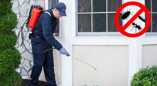 Boztepe Akrep İlaçlama böcek ilaçlama ve haşere kontrolü — ilaclama-tr.com